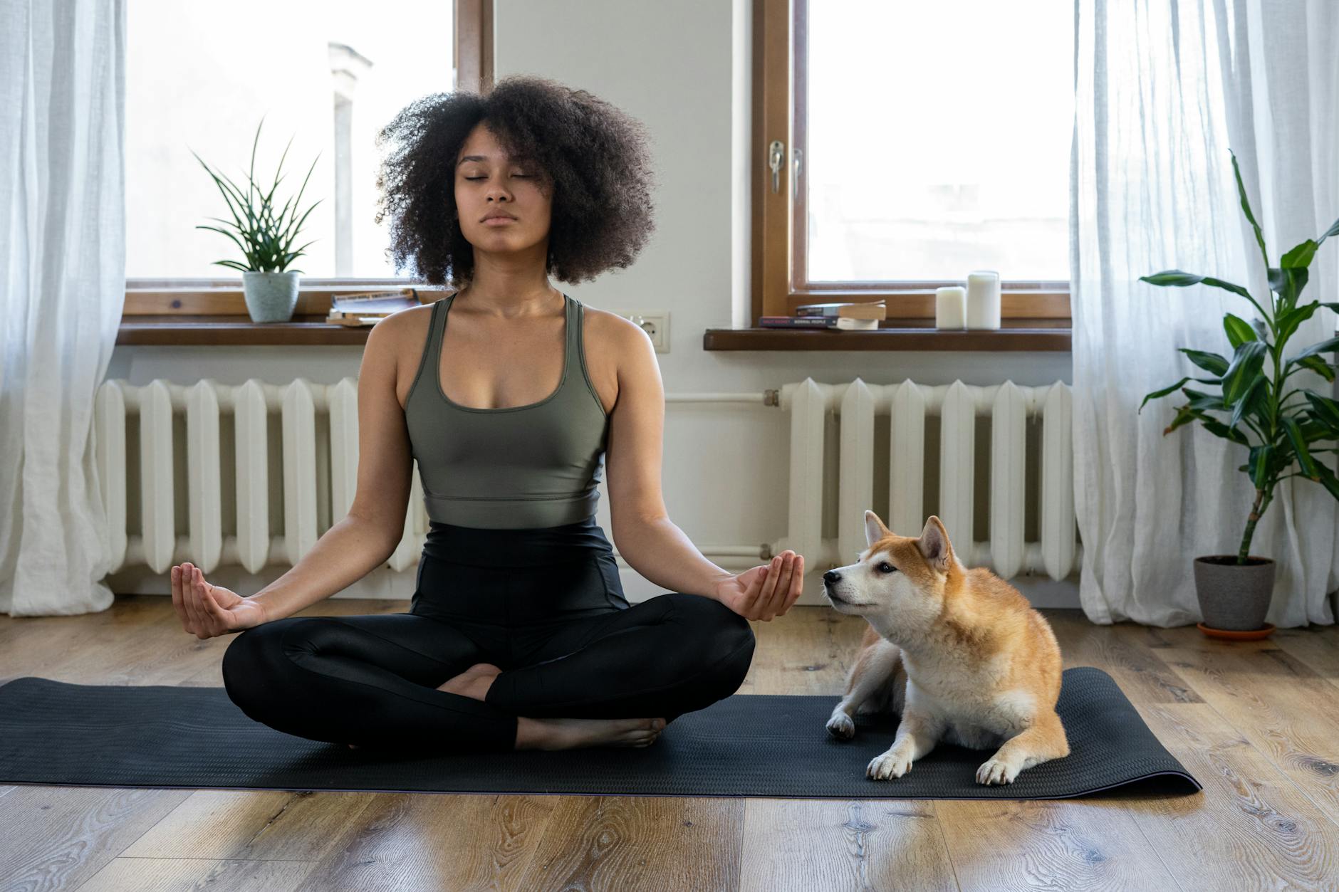 Mindfulness &amp; Mitochondria: Can Meditation Improve Cellular Health?