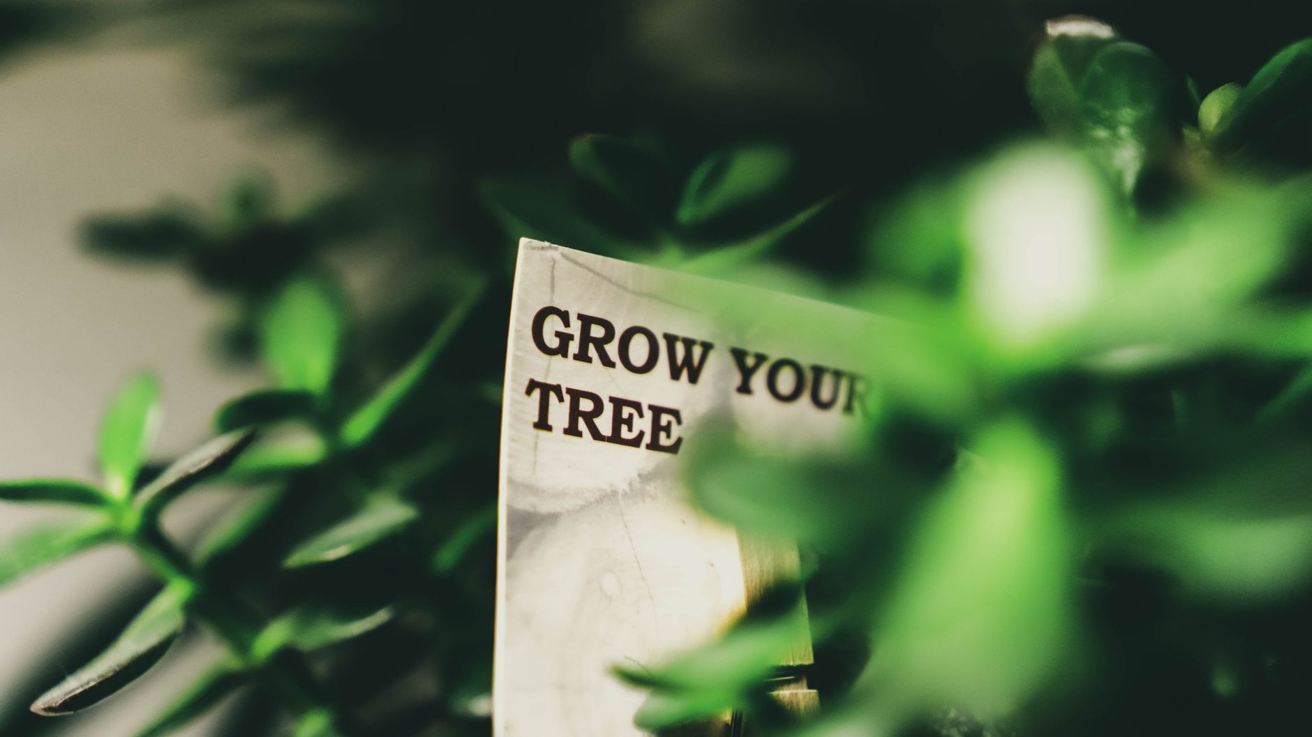 Combat Eco-Anxiety: Track Your Impact, Empower Your Mind